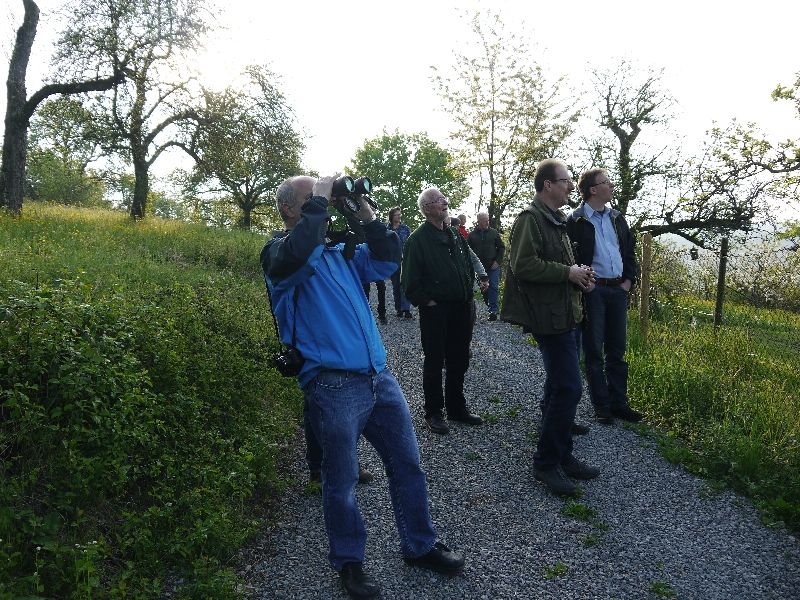 Bild 12